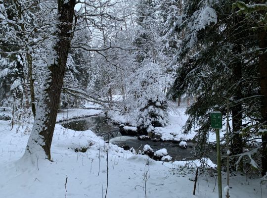 Pesenbach in Niederwaldkirchen im Winter