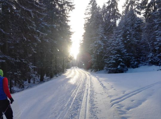 Winter in Ulrichsberg